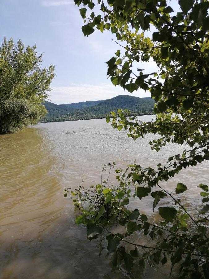 Vendeghaz A Kerekhegyi Pagonyhoz Apartment Zebegeny